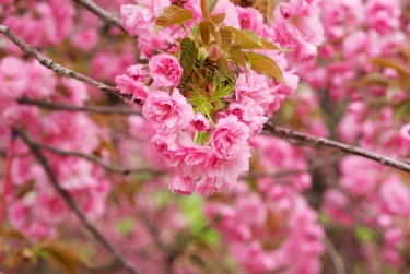 常州新北区9线下个人借款平台一站式服务，轻松解决资金难题