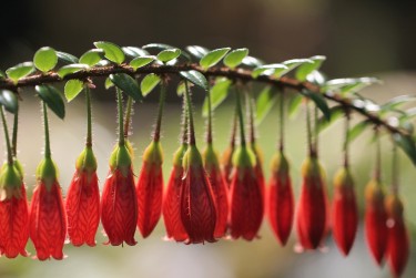 常州新北区9零用贷短借：轻松解决临时资金需求