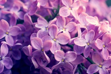 常州新北区9企业急用钱贷款攻略：快速融资解燃眉之急